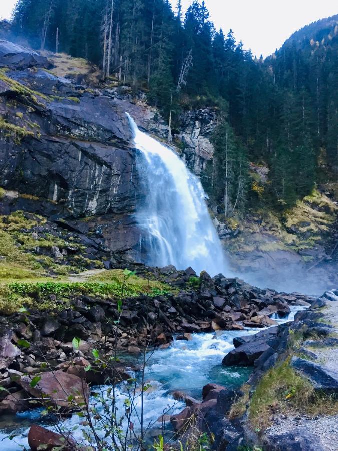 Landhaus Rosengartl Krimml Oberkrimml Экстерьер фото