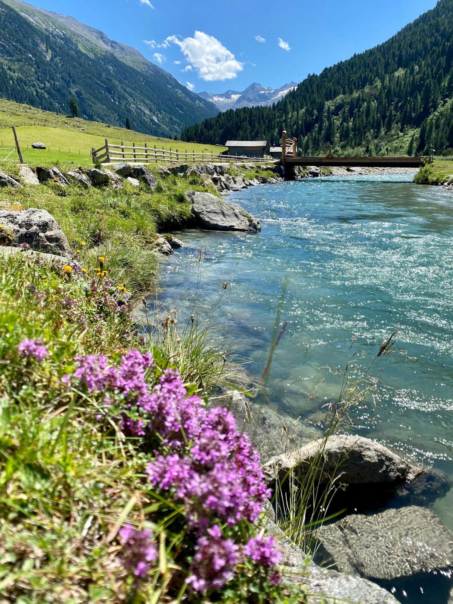 Landhaus Rosengartl Krimml Oberkrimml Экстерьер фото